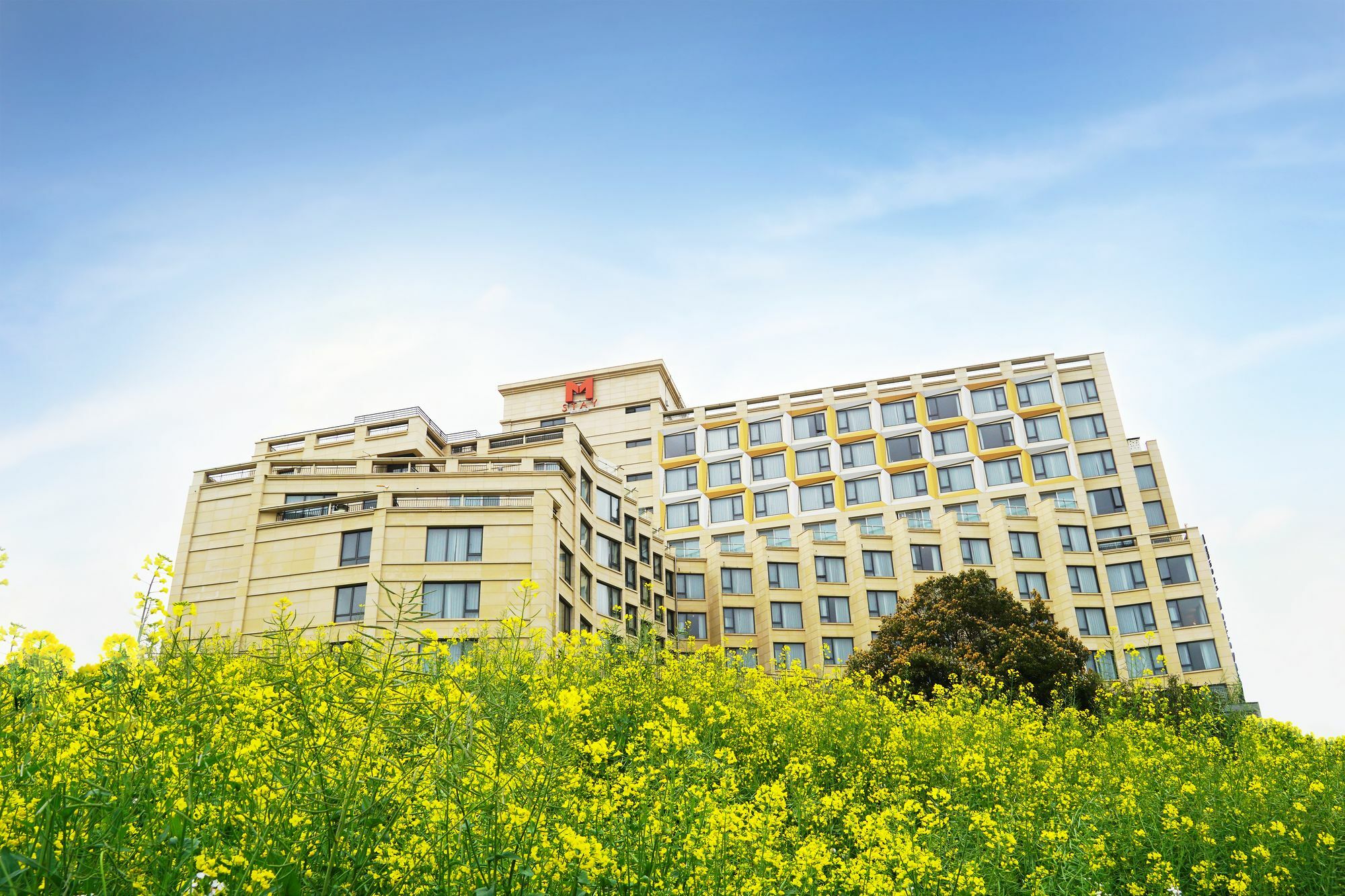 Mstay Hotel Seogwipo-stad Buitenkant foto
